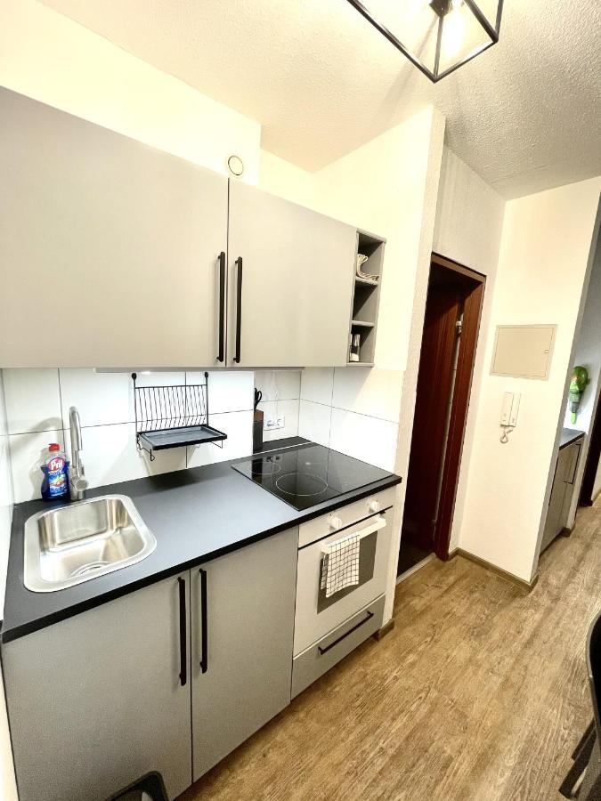 Boutique Apartment Am Bahnhof フライブルク エクステリア 写真